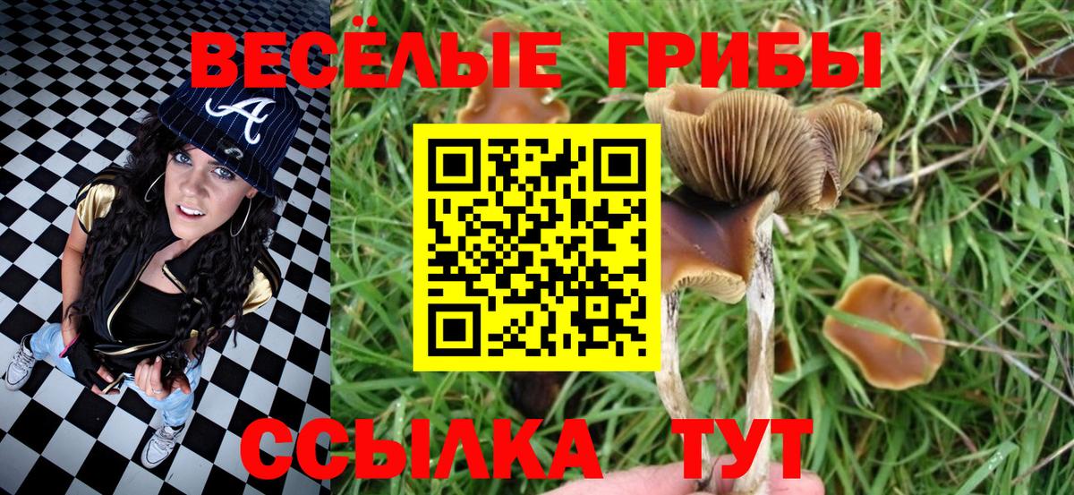 Псилоцибиновые грибы мухоморы Радужный